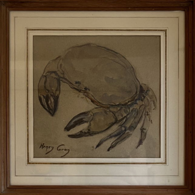 Crabe tourteau